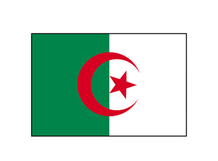 drapeau algerie 90x150 cm