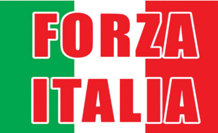 drapeau forza italia 70x90cm