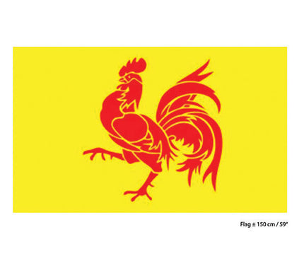 drapeau de wallonie belgique 90x150 cm