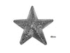 boule à facettes étoile argent 40cm