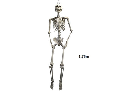 squelette à suspendre 1.90/1.75m