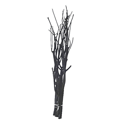 10 Branches Mitsumata 50cm