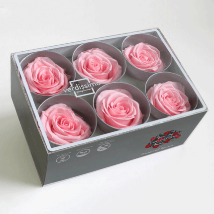 Boite de 6 Têtes de Rose Éternelles Roses