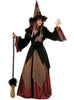 Déguisement de sorcière Dacha