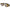 lunettes steampunk bronze