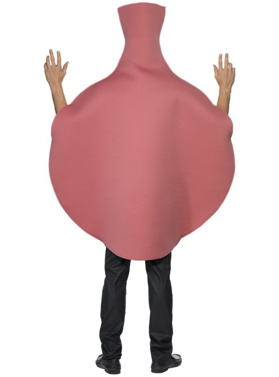 Déguisement de coussin péteur