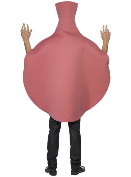 Déguisement de coussin péteur