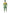 Déguisement Power Ranger Vert Morphsuit