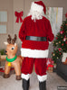 Déguisement de Père Noël adorable professionnel