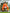 Costume Orange 