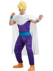 Perruque Sangohan - Dragon Ball