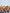 Déguisement Emoji sourire larmes adulte