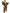 Déguisement de Chewbacca pour enfant