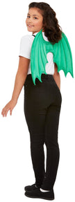 Ailes de dragon enfant