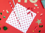 10 pailles rouges à rayures blanches en papier - Pirates Party
