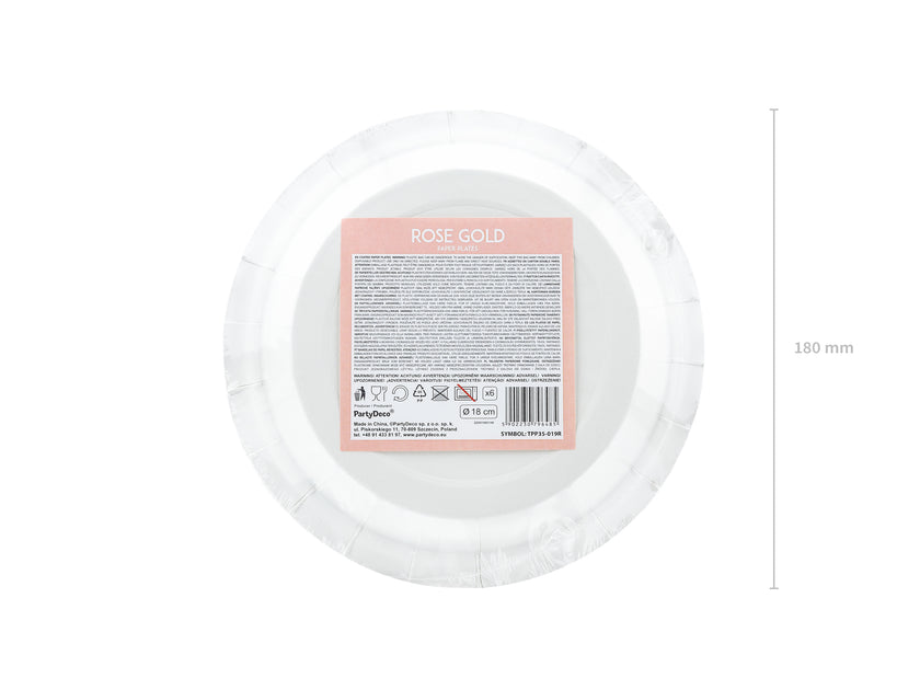 6 assiettes rose gold de 18 cm en carton - Vintage Birthday