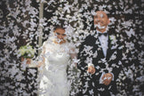 Canon à confettis papillons blancs de 40 cm