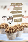 6 moules à cupcakes en papier Kraft - Woodland