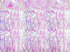 Rideau à franges couleur iridescent de 2,5 m