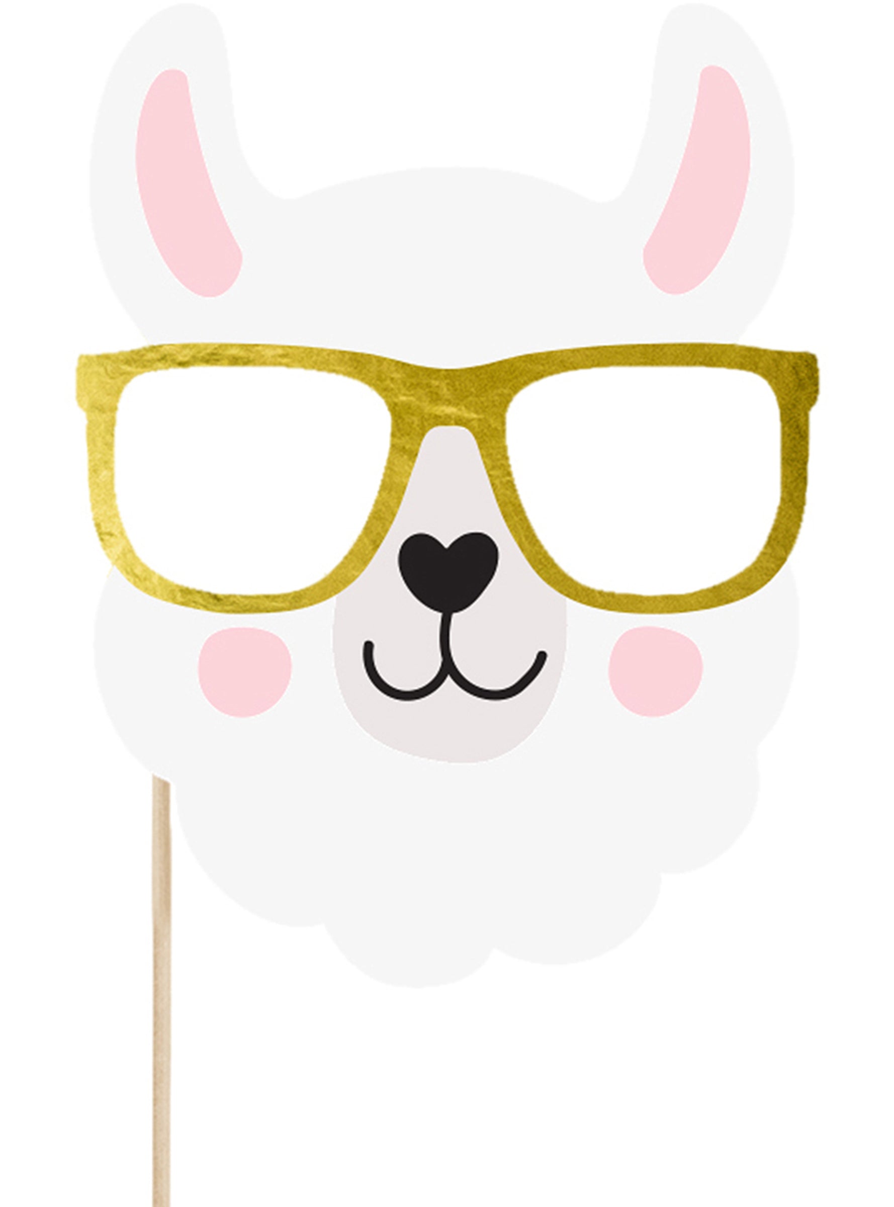 5 articles photobooth - Llama Party