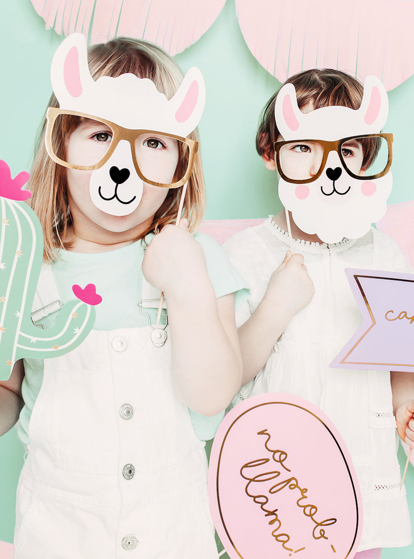 5 articles photobooth - Llama Party