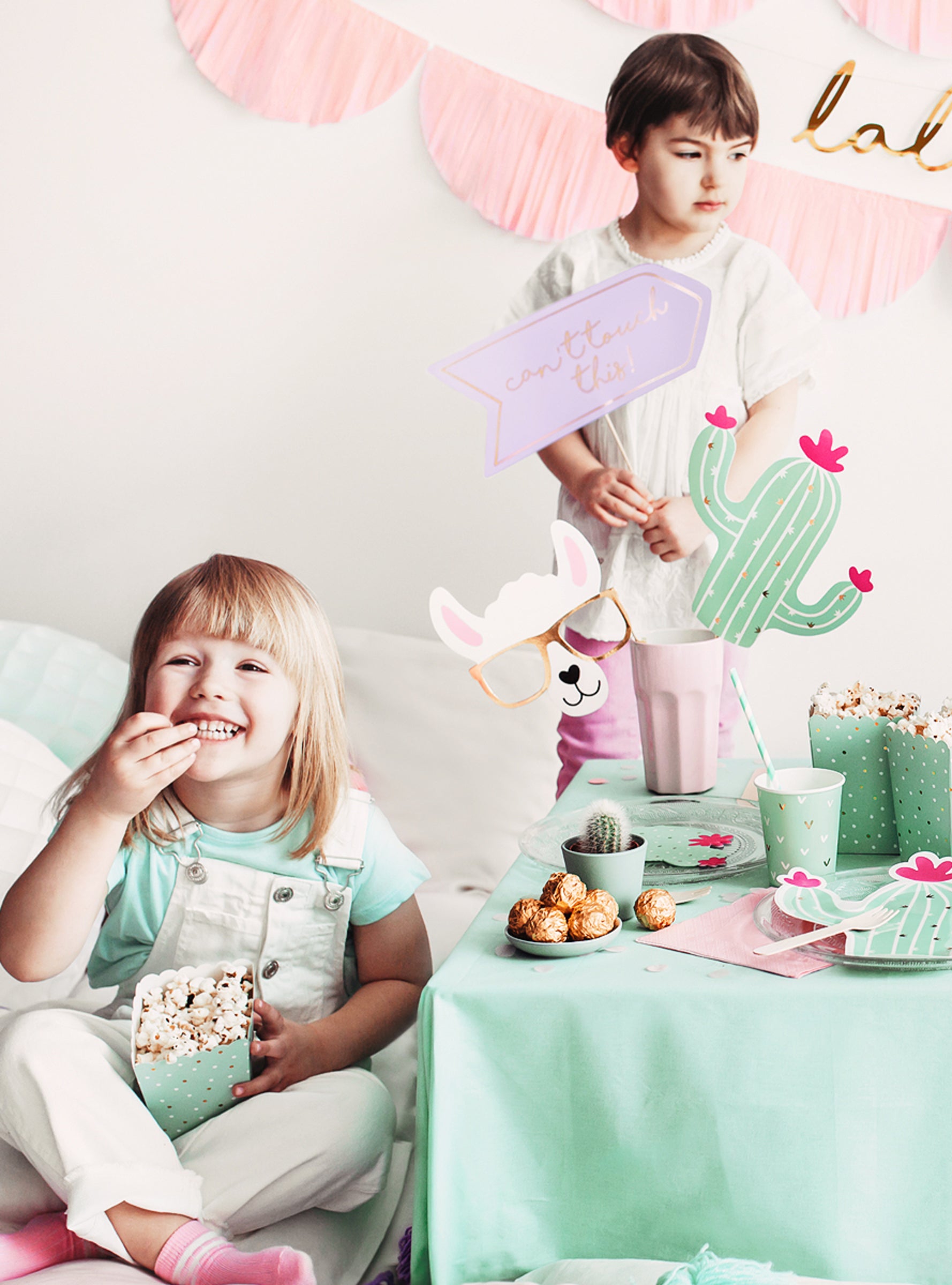 5 articles photobooth - Llama Party