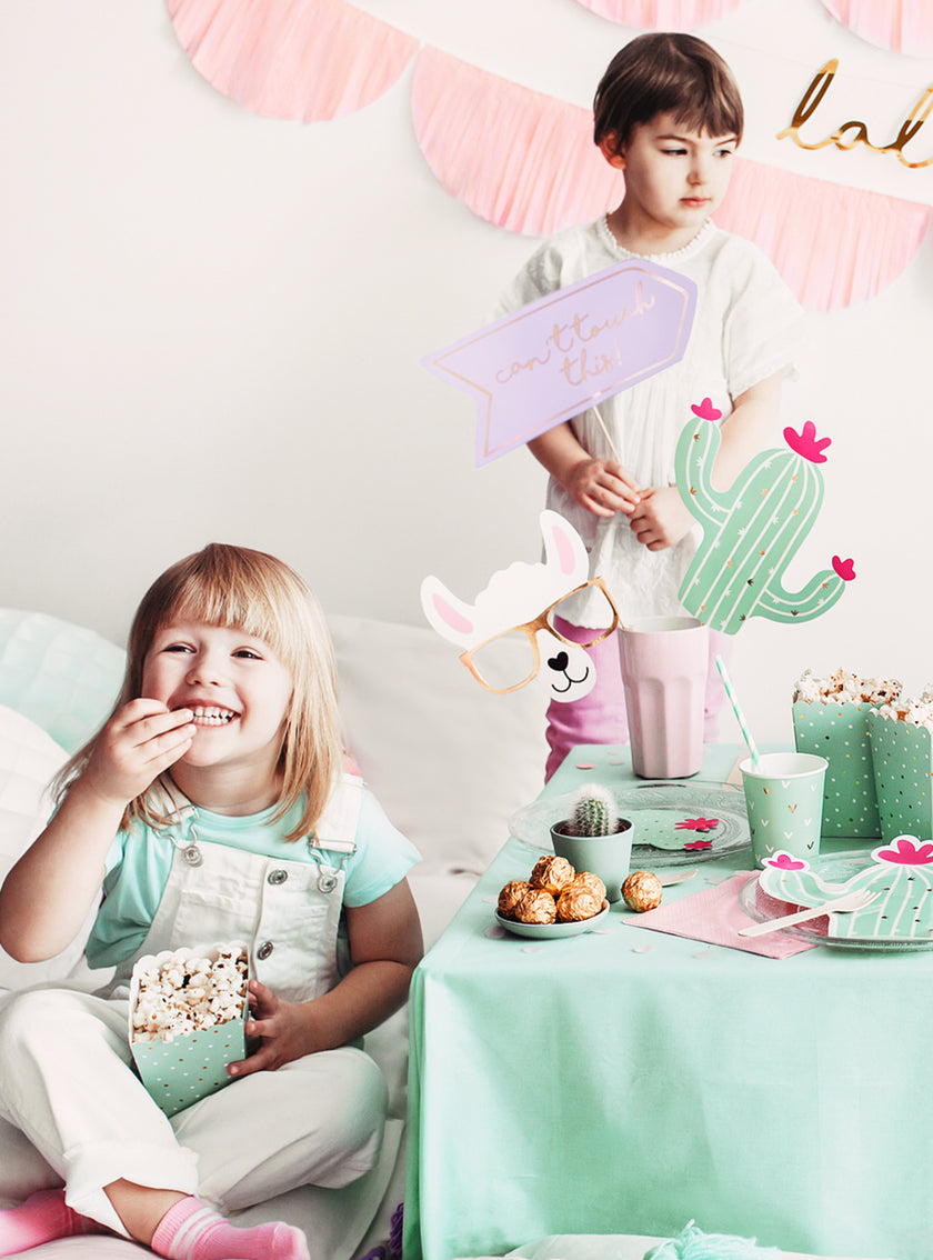 5 articles photobooth - Llama Party