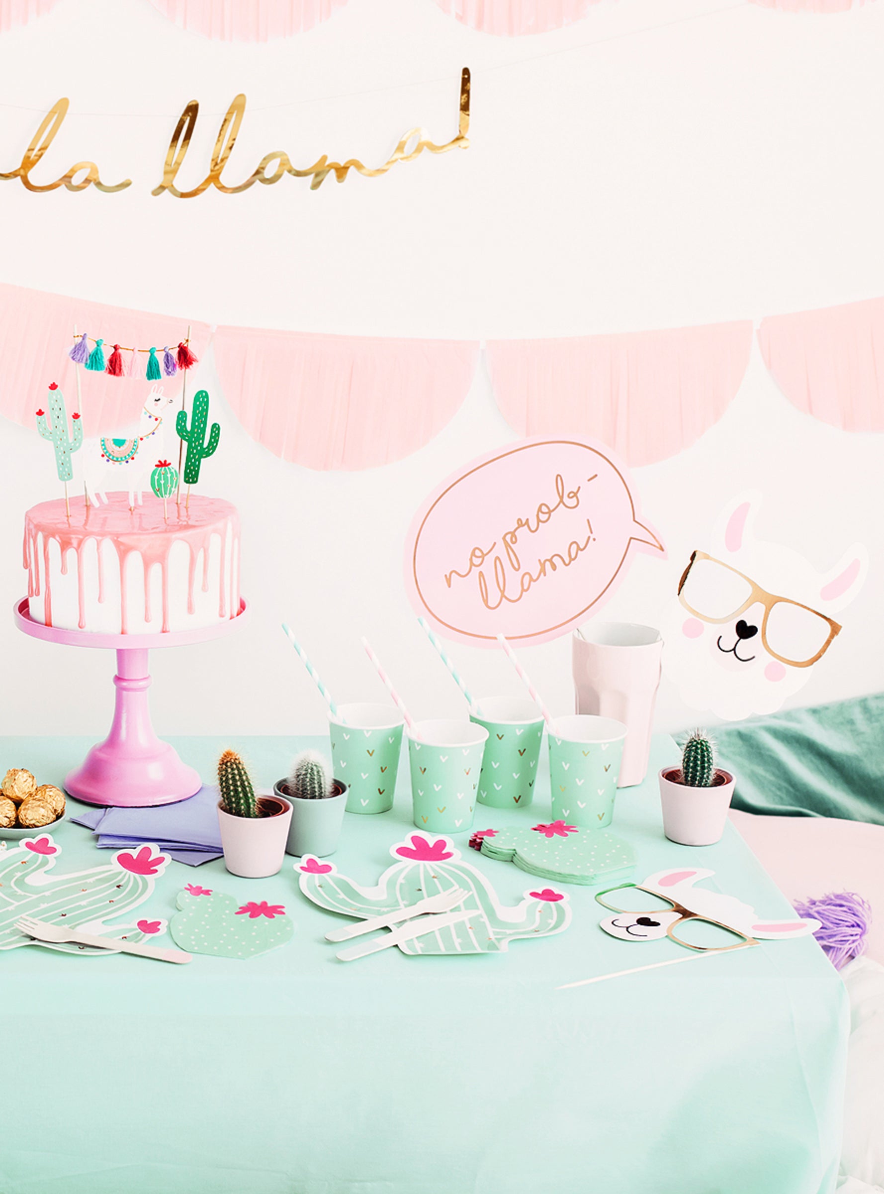 5 articles photobooth - Llama Party