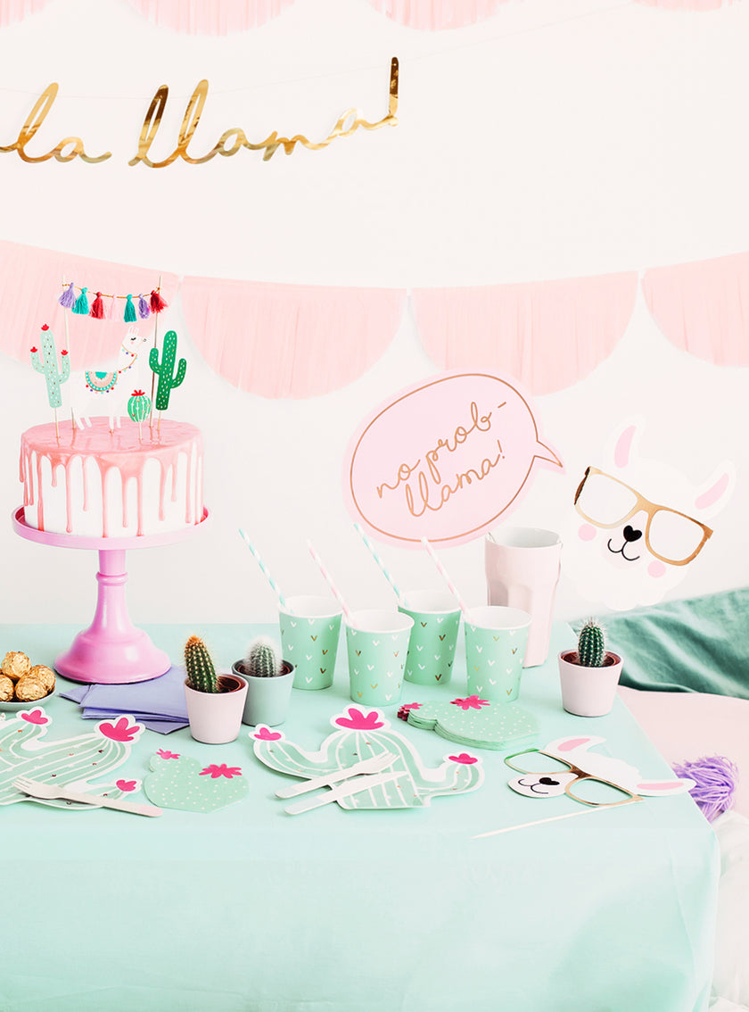 5 articles photobooth - Llama Party