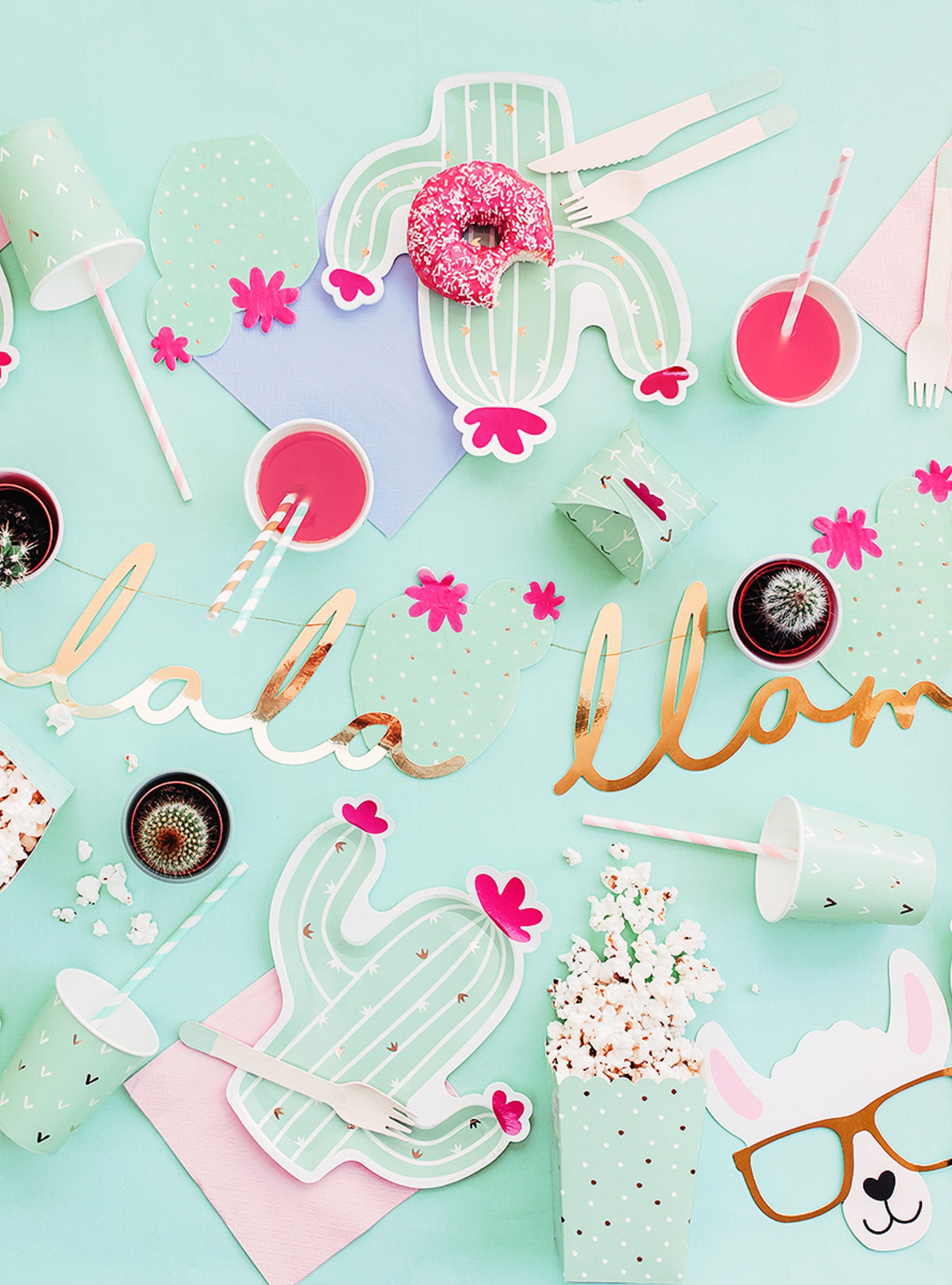 6 boîtes à Popcorn cactus - lama Party