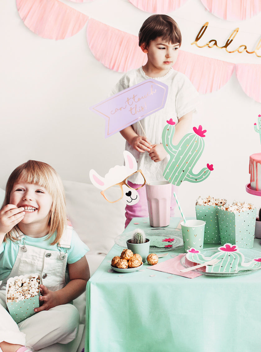 6 boîtes à Popcorn cactus - lama Party