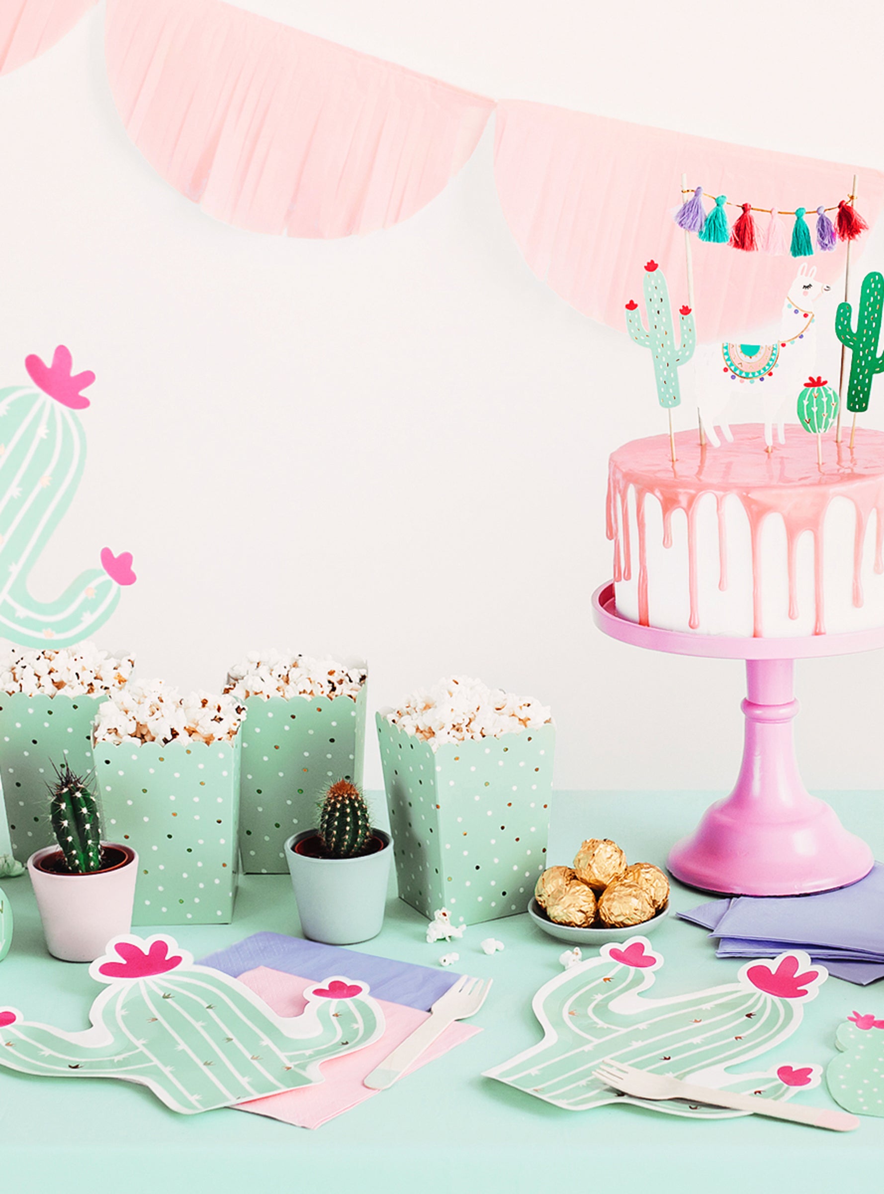 6 boîtes à Popcorn cactus - lama Party