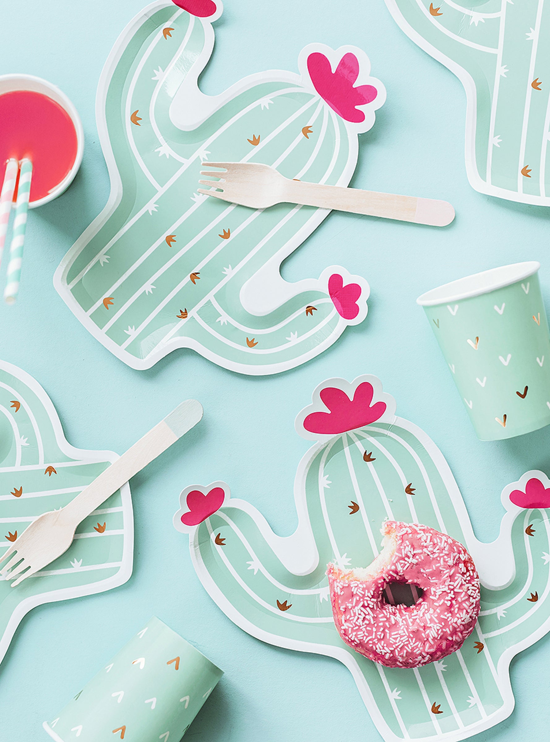 6 assiettes cactus (23 cm) - lama Party