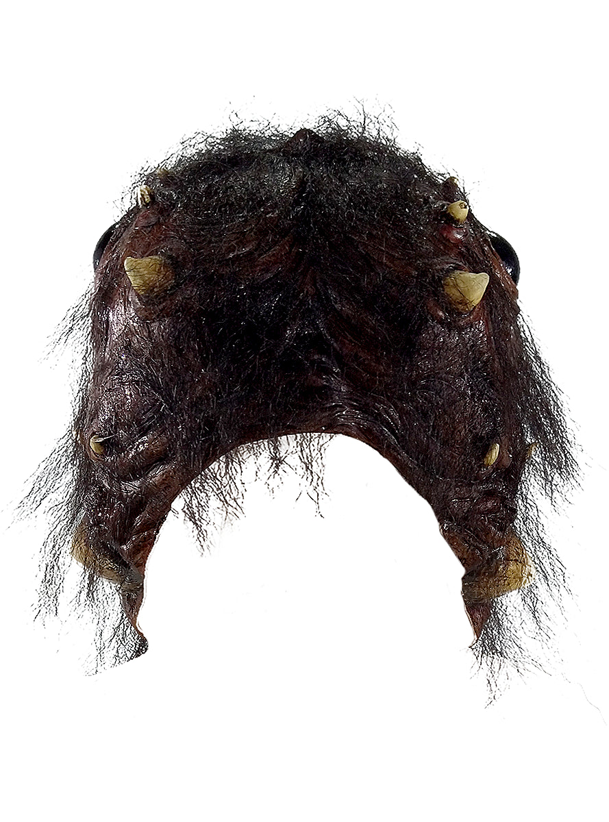 Masque araignée adulte