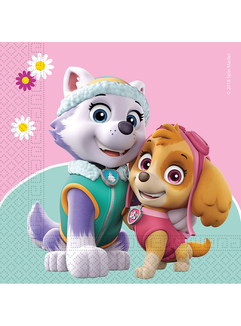 20 serviettes Pat'Patrouille Skye & Everest (33x33cm)