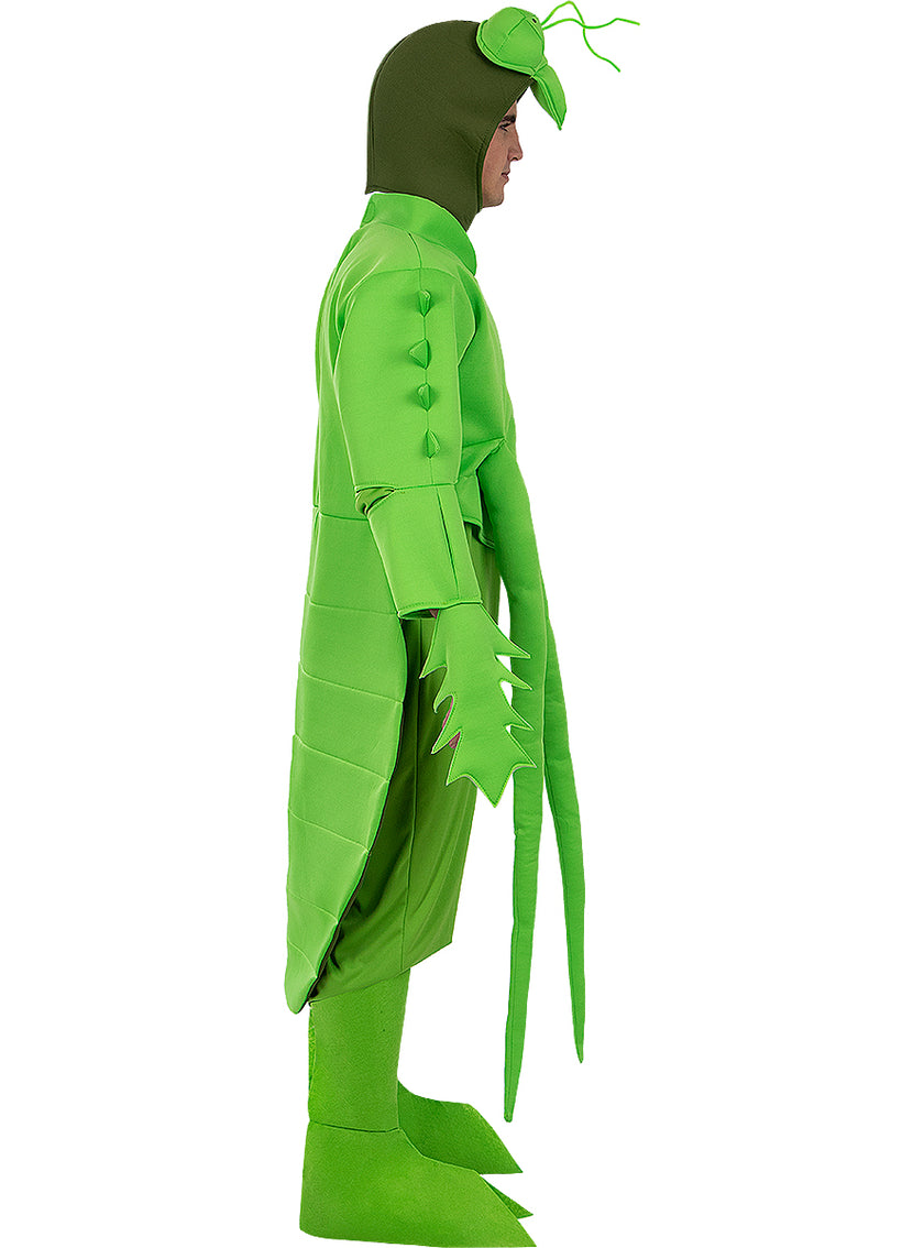 Déguisement mante religieuse