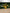 Déguisement Power Ranger Jaune