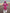 Déguisement Power Ranger Rose enfant