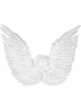 Ailes d'ange blanches