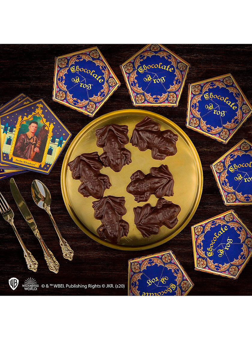 Moule Chocogrenouilles avec 12 cartes - Harry Potter