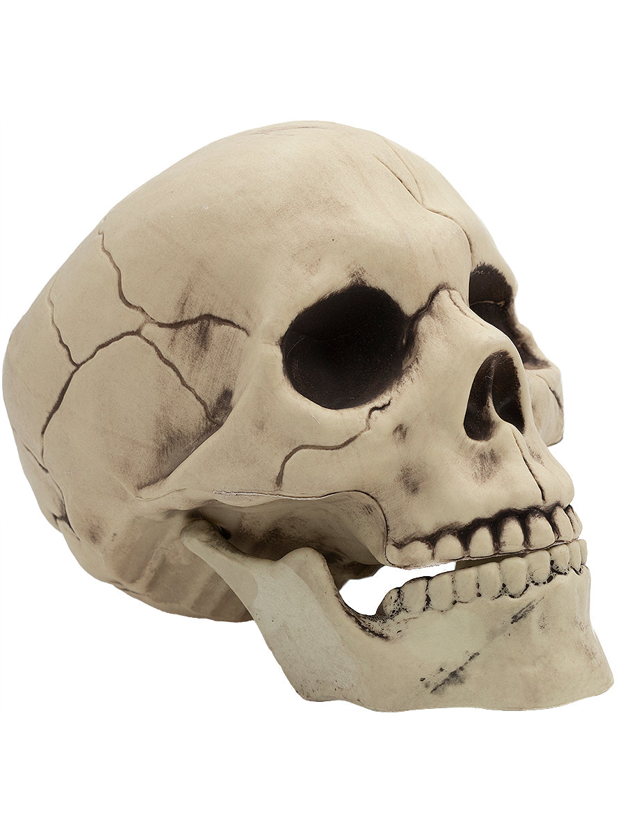 Crâne décoratif Halloween