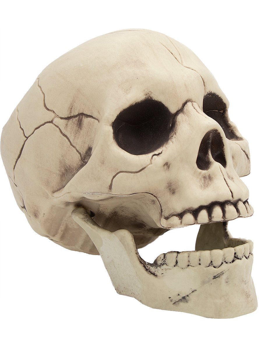 Crâne décoratif Halloween