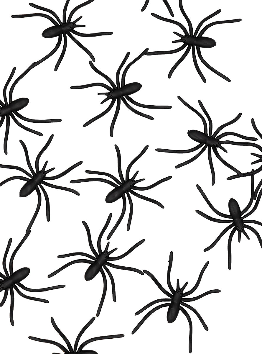 Paquets d'araignées