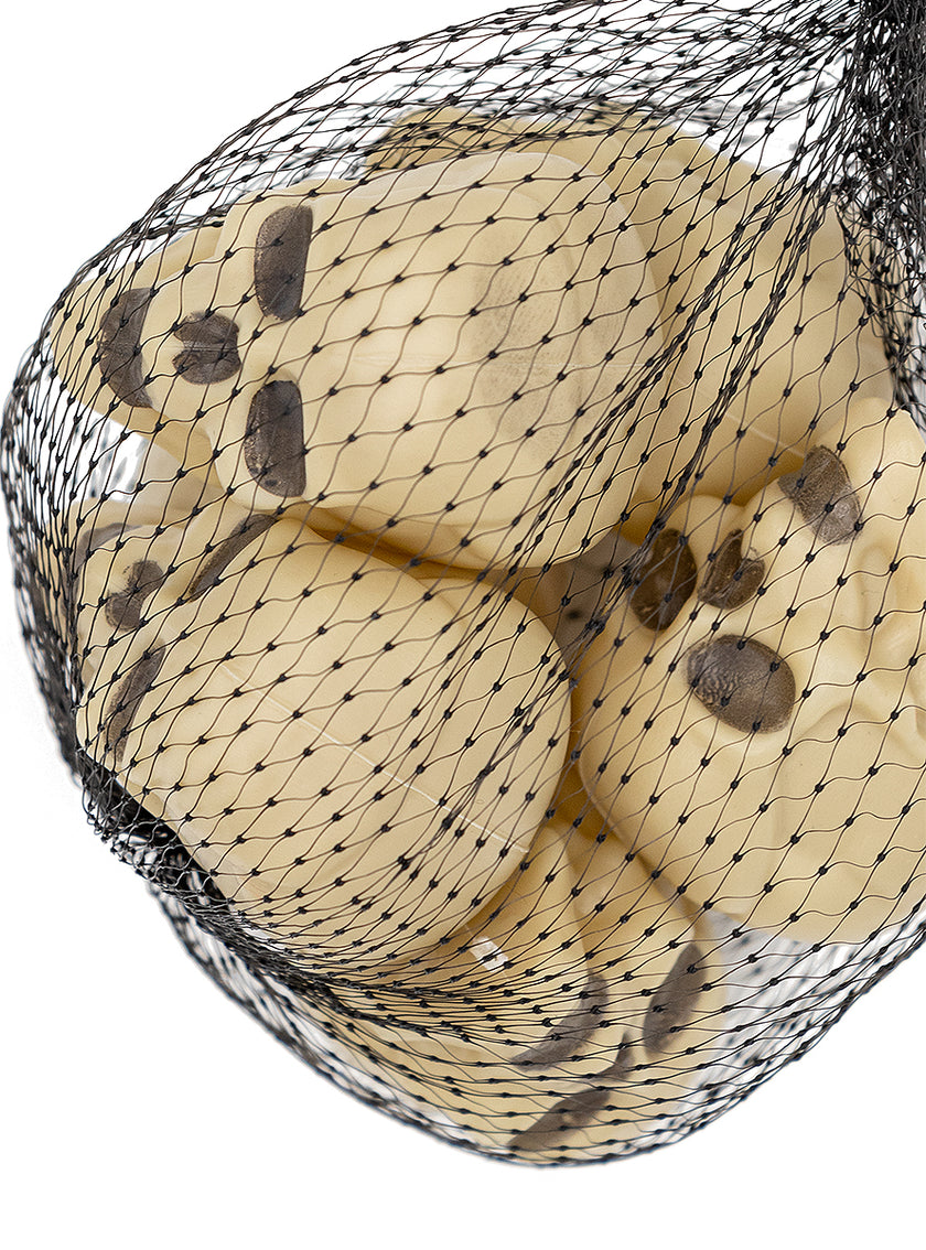 Têtes de mort Halloween