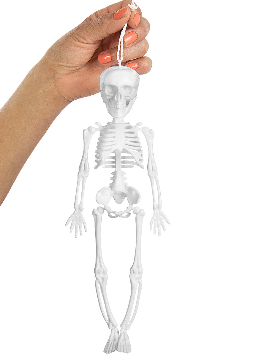 Squelette suspendu