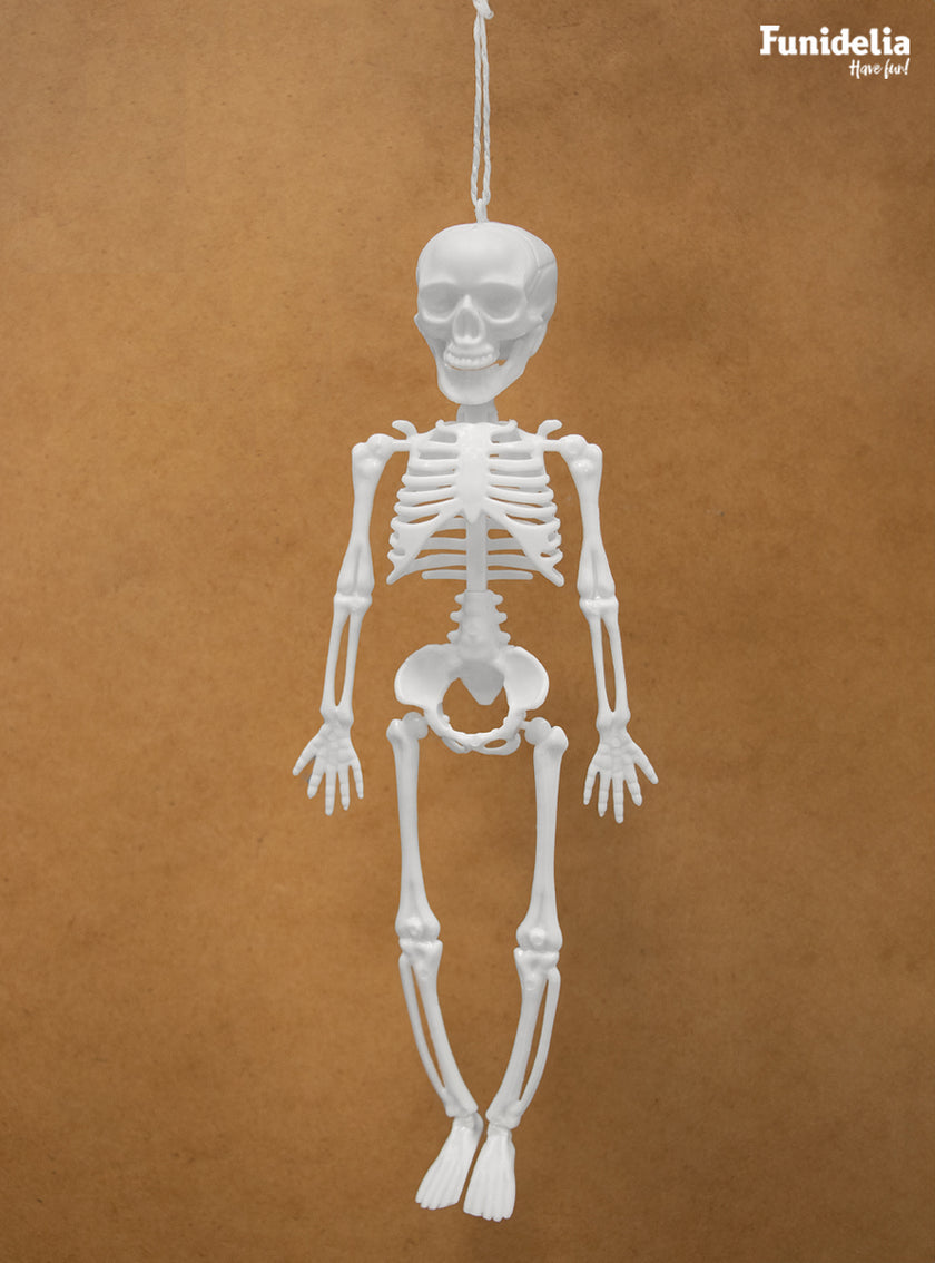 Squelette suspendu
