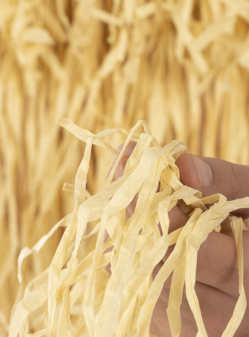 Déguisement Cousin machin -La Famille Addams