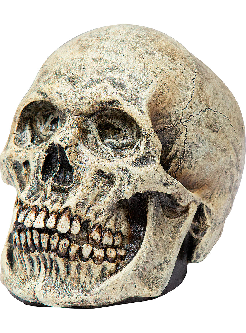 Figurine tête de mort décorative