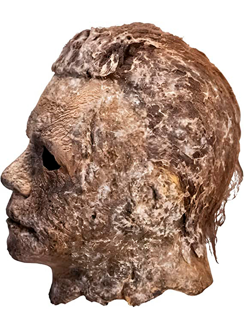 Masque Michael Myers - Halloween Ends