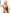 Déguisement Stella femme - Winx Club